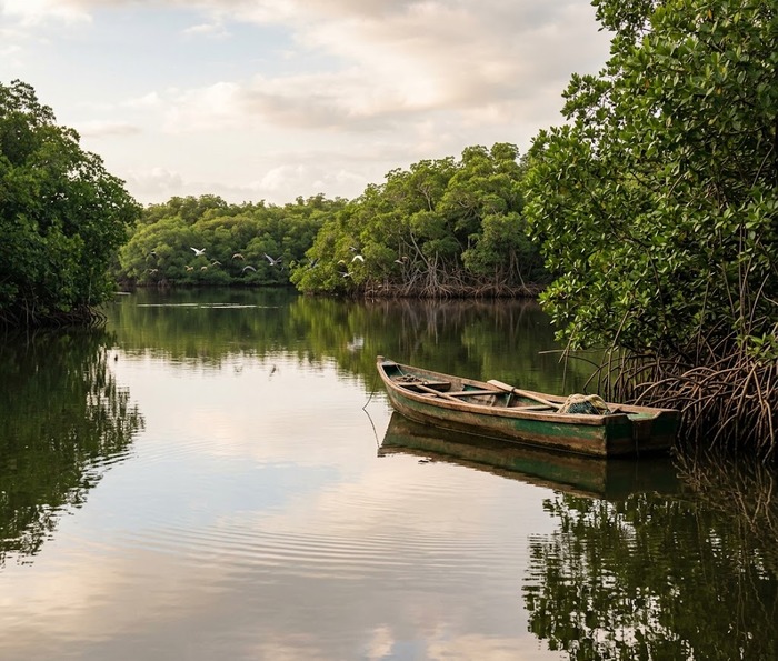 Paseo en lancha por el Estero de Jaltepeque