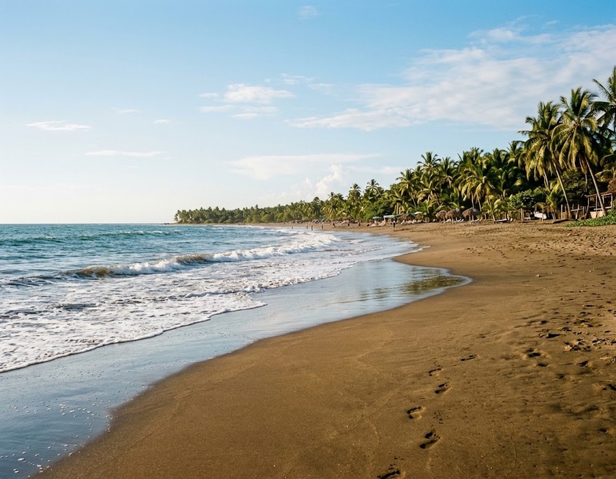 La playa de Costa del Sol, arena y palmeras junto a aguas tranquilas