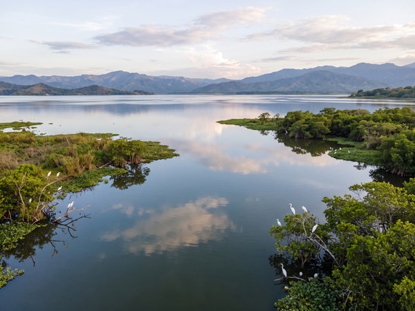 Vista del Lago Suchitlán con garzas